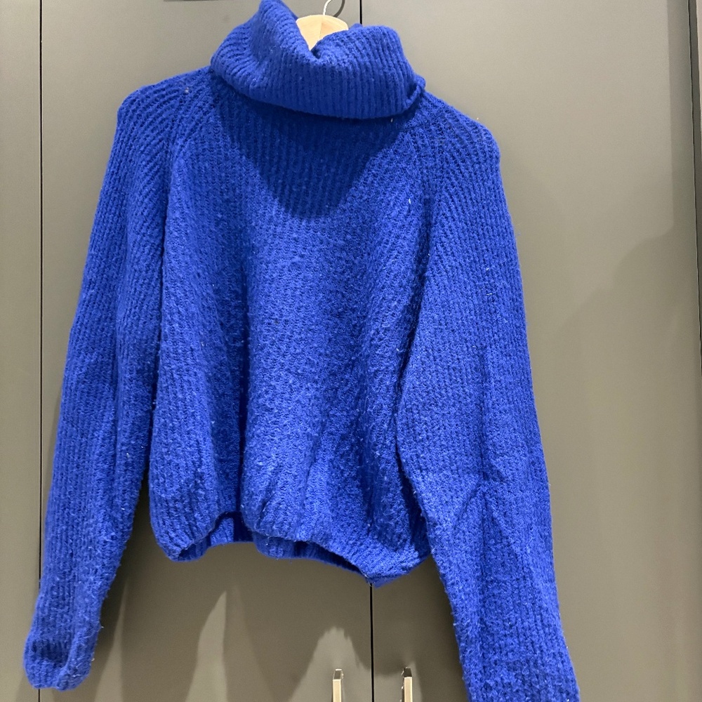 Raglan Subdued Wool Turtle Neck